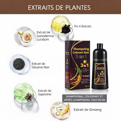 Champoing  Naturel Hair Dye grand format ( 500ml ) original